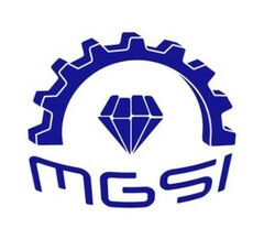 MGSI