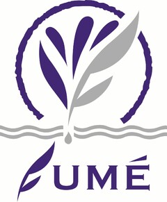 FUMÉ