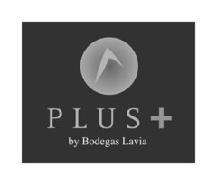 PLUS + by Bodegas Lavia