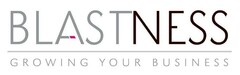 BLASTNESS GROWING YOUR BUSINESS