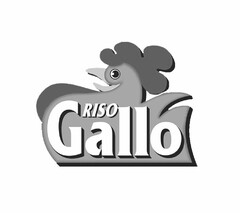 RISO Gallo