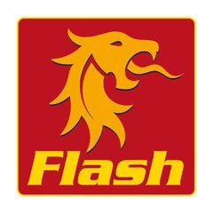 Flash