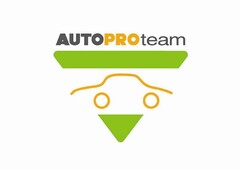 AUTO PRO team