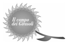 Il campo dei girasoli