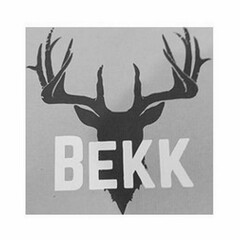 BEKK