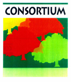 CONSORTIUM