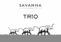 SAVANHA TRIO