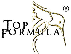 TOP FORMULA