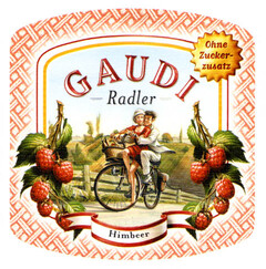 GAUDI Radler Ohne Zuckerzusatz Himbeer