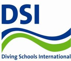 DSI Diving Schools International