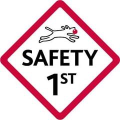 SAFETY 1ST