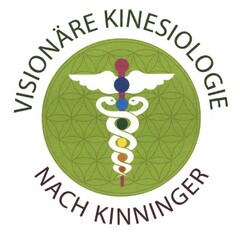 VISIONÄRE KINESIOLOGIE NACH KINNINGER