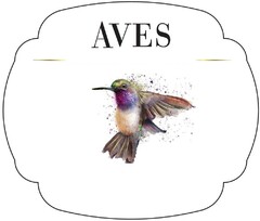 AVES