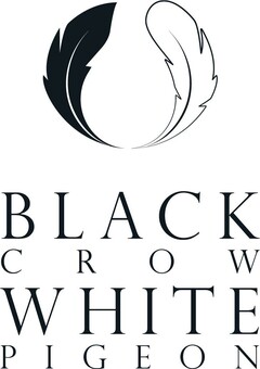 BLACK CROW WHITE PIGEON