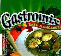 GASTROMIX BAZA MANCARURI