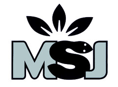 MSJ