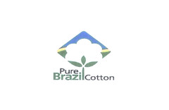 Pure Brazil Cotton