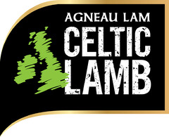 AGNEAU LAM CELTIC LAMB