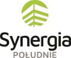 Synergia Południe