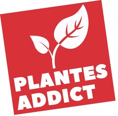 PLANTES ADDICT