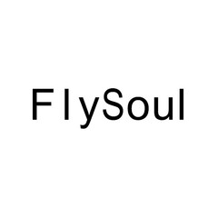 FlySoul