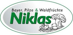 Bayer. Pilze & Waldfrüchte Niklas