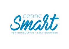 CEDEC SMART TOP CONSULTING - EASY BUSINESS