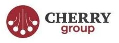 CHERRY group