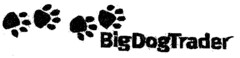 BigDogTrader