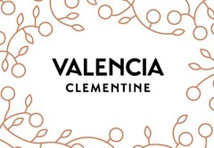 VALENCIA CLEMENTINE