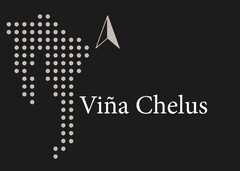 VIÑA CHELUS