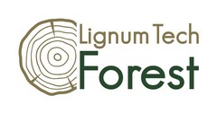 Lignum Tech Forest