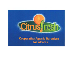 Citrusfresh Cooperativa Agraria Naranjera Los Alcores