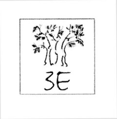 3E