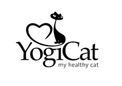 YogiCat my healthy cat