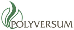 POLYVERSUM