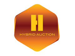 H HYBRID AUCTION