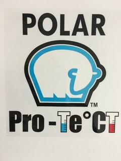 POLAR Pro-Te°CT