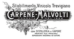 Stabilimento Vinicolo Trevigiano CARPENE'-MALVOLTI FONDATA NEL 1868 CON DISTILLERIA A VAPORE PREMIATO ALLE PRINCIPALI ESPOSIZIONI NAZIONALI ED ESTERE