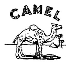 CAMEL