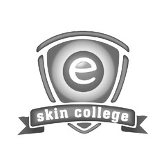 e skin college