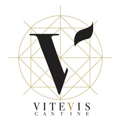 V VITEVIS CANTINE