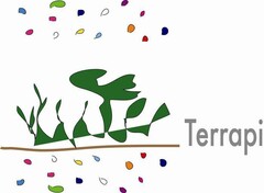 TERRAPI