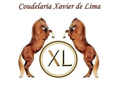 Coudelaria Xavier de Lima XL