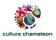 Culture Chameleon