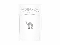 CAMEL WHITE