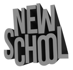 NEW SCHOOL