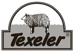 TEXELER