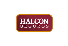 HALCON SEGUROS