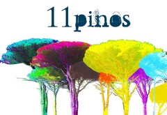 11 PINOS